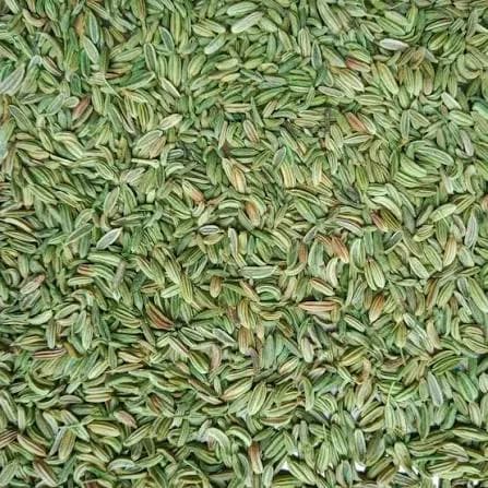 Fennel